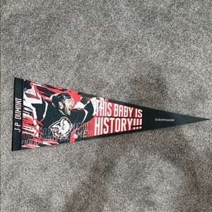 Buffalo Sabres JP Dumont Souvenir Flag